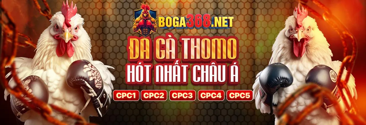 Hình ảnh đại diện cho các chương trình khuyến mãi i9bet41 mới nhất 2026