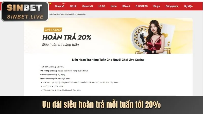 Tổng quan về các lợi ích độc quyền dành cho thành viên VIP của i9bet41